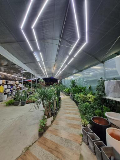 عکس گلخانه لوتوس