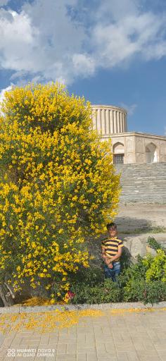 کاخ خورشید 