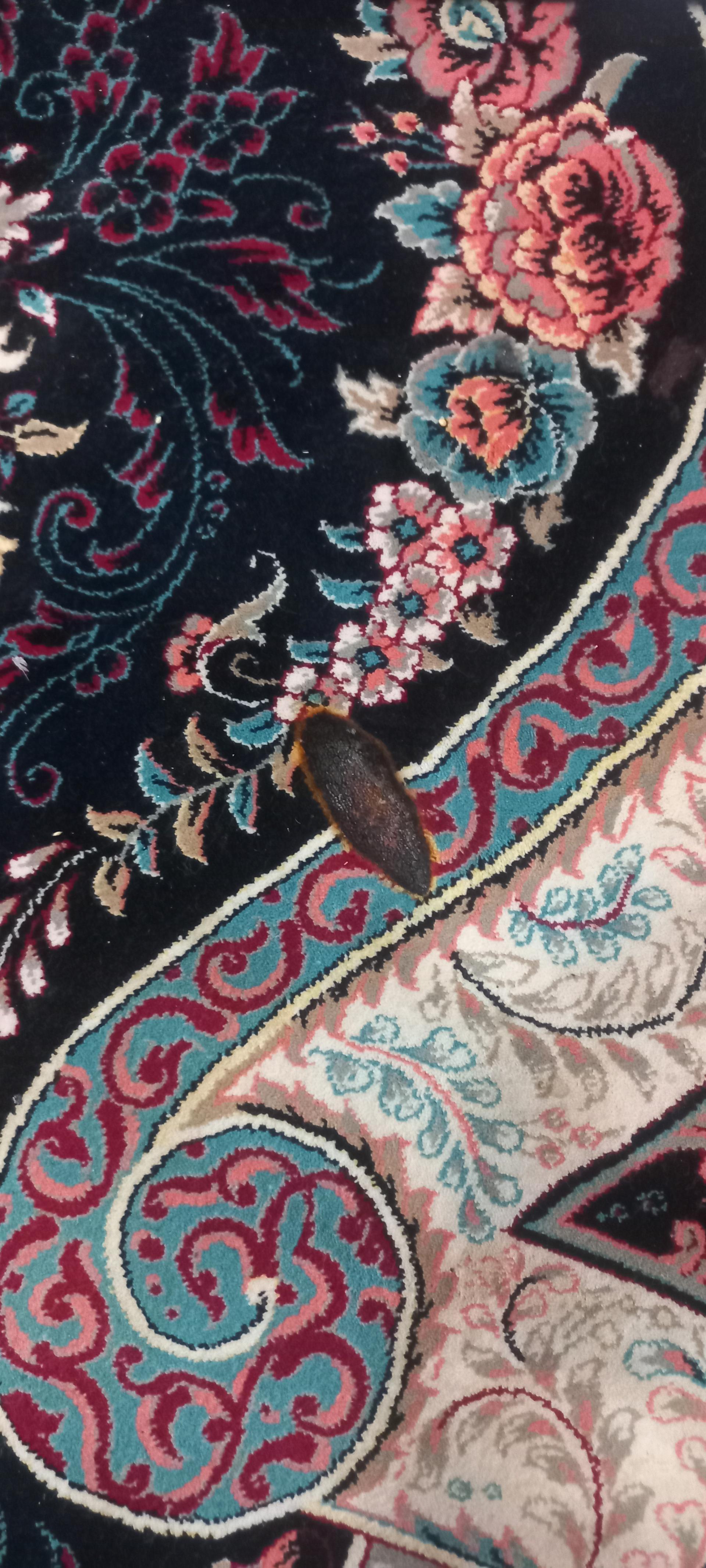 عکس تعمیرات فرش مهران