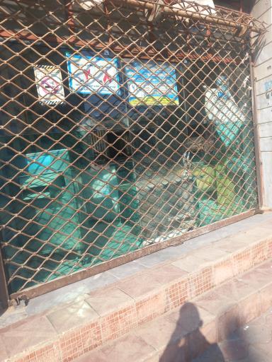 عکس نانوایی نبی اله تجری