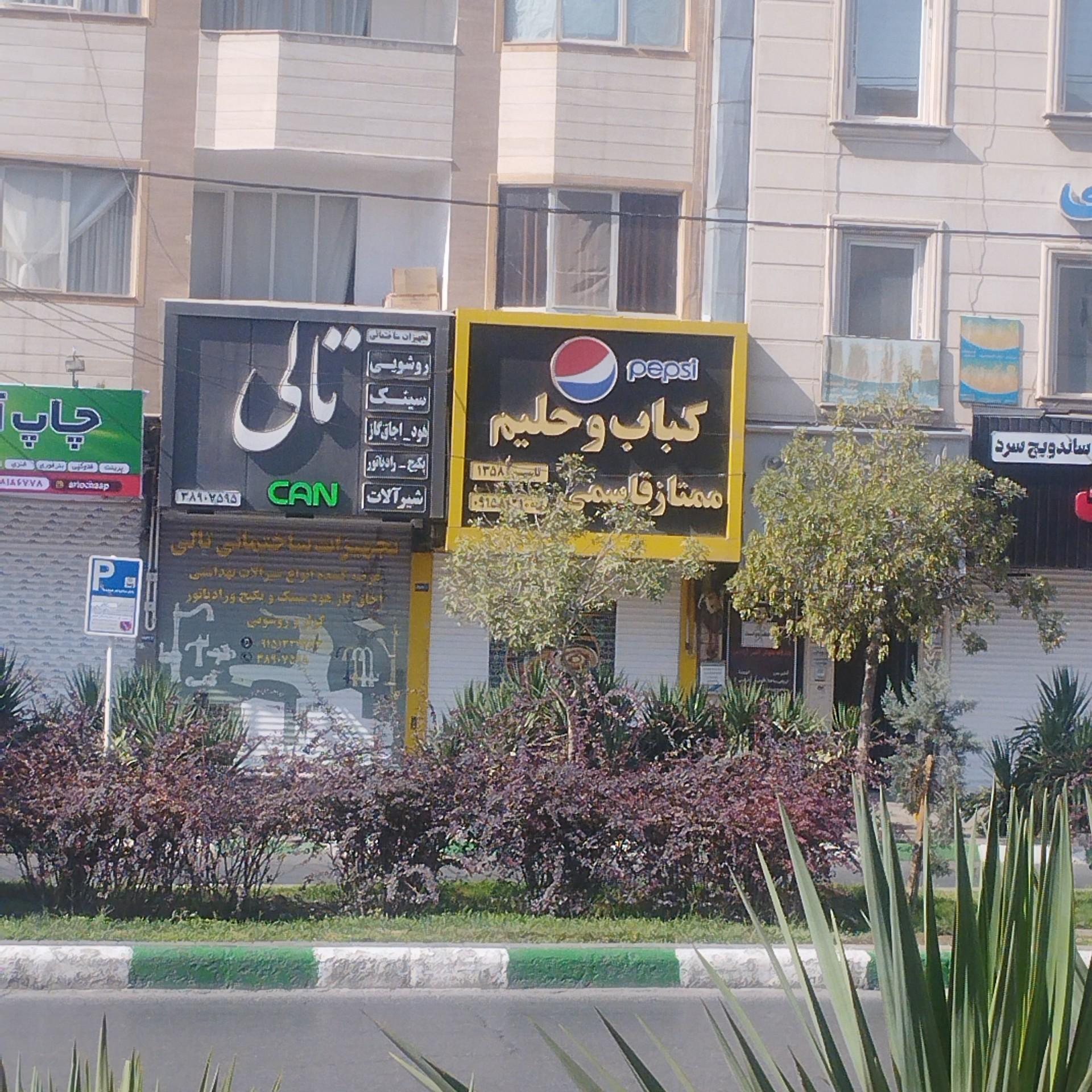 عکس کباب و حلیم ممتاز قاسمی