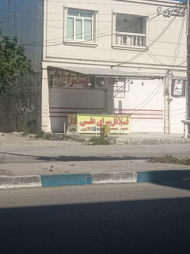 عکس فلافل علی