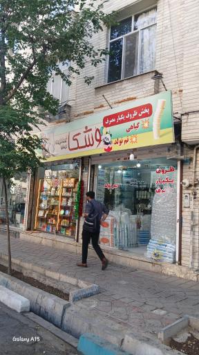 عکس ظروف یکبار مصرف وشکا