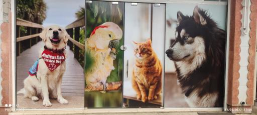 عکس مجتمع دامپزشکی پاستور دکتر بلبلی