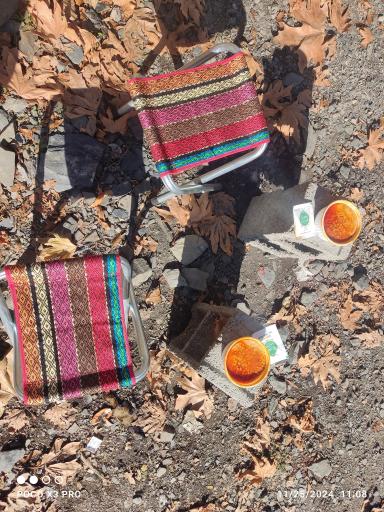 شله و حلیم چهار فصل (شعبه وکیل آباد)