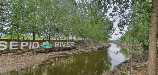 عکس پارک آبی جنگلی جزایر سیدپور