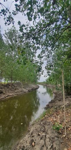 عکس پارک آبی جنگلی جزایر سیدپور