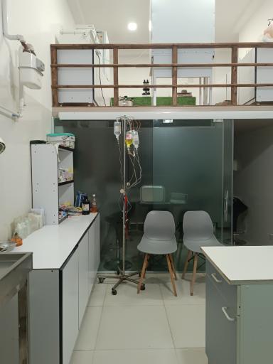 عکس مجتمع دامپزشکی پاستور دکتر بلبلی