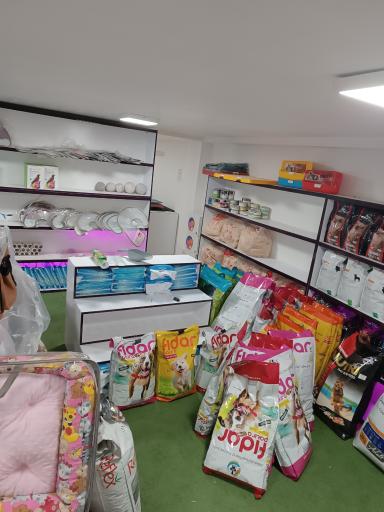 عکس مجتمع دامپزشکی پاستور دکتر بلبلی