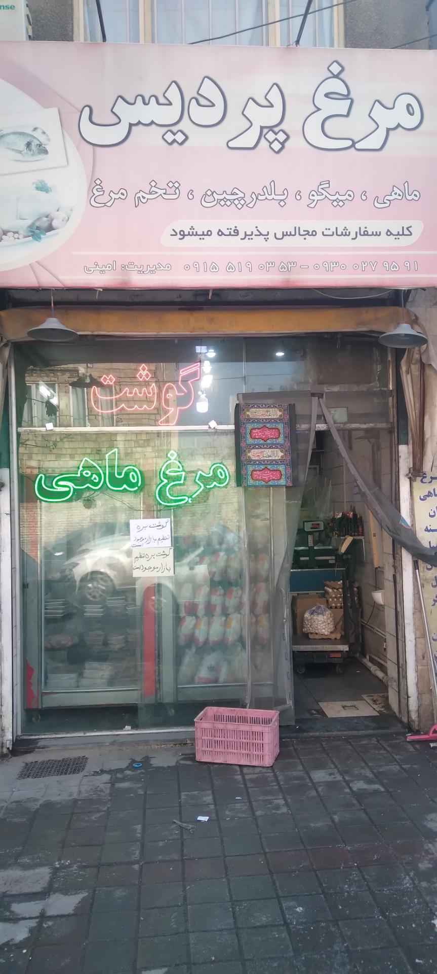 عکس مرغ پردیس