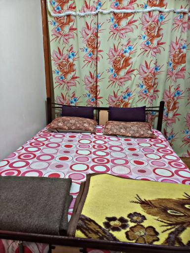 عکس ویلای انصاری