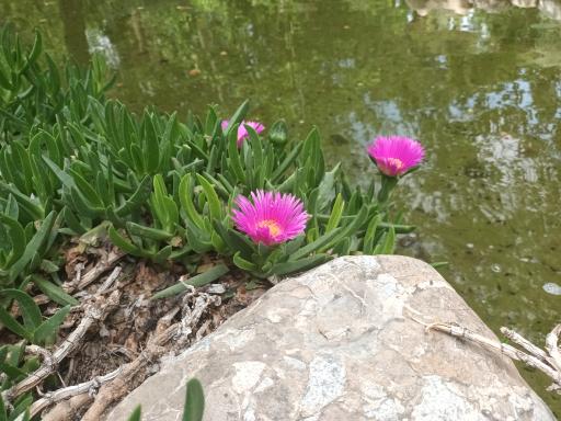 عکس بوستان سهند