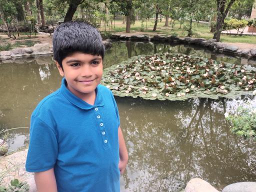 عکس بوستان سهند