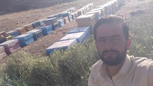 عکس عسل بهارکیش بینالود 