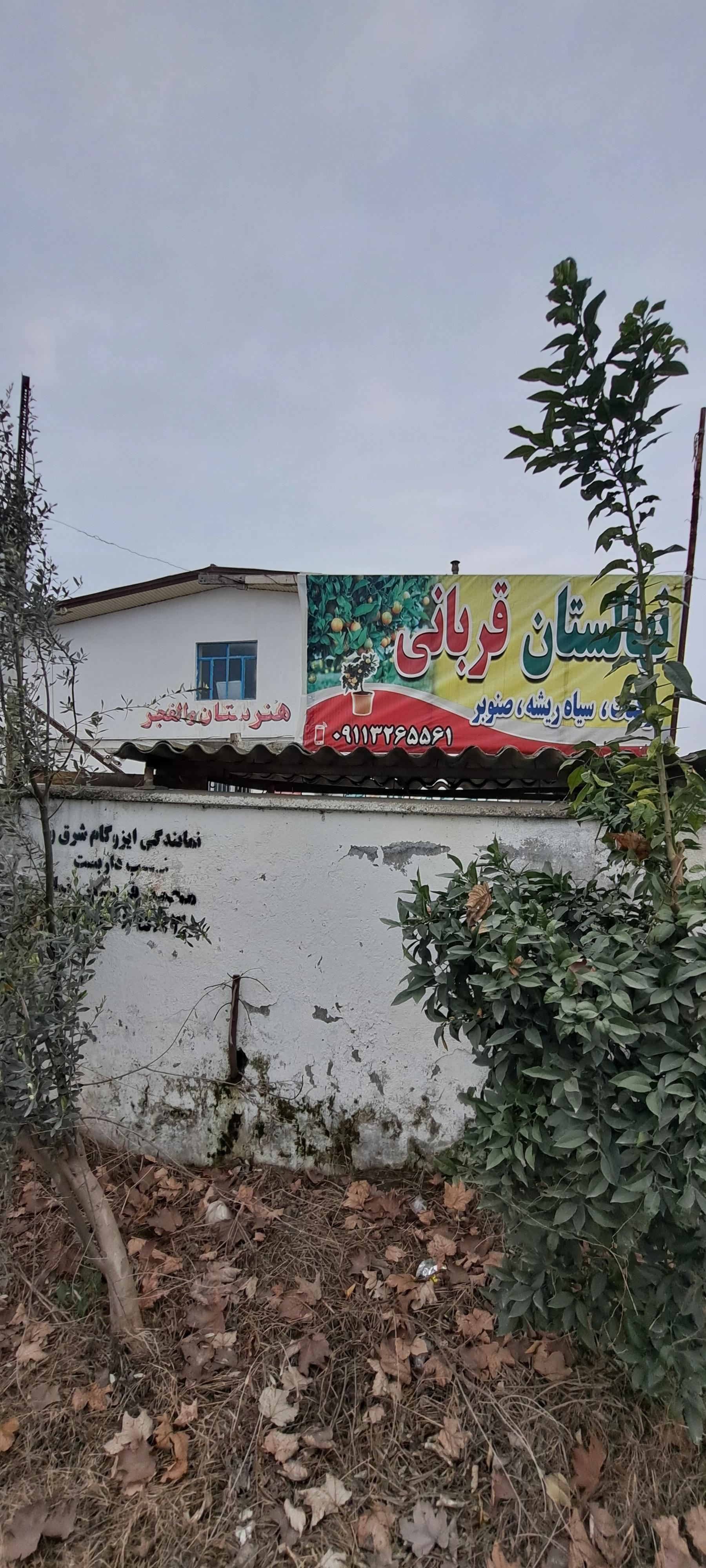 عکس نهالستان قربانی 