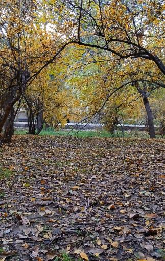 عکس بوستان سهند