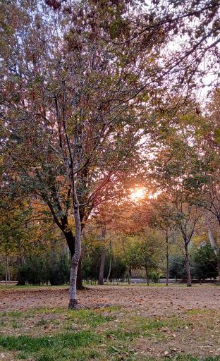 عکس بوستان سهند