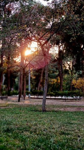 بوستان سهند