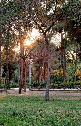 بوستان سهند