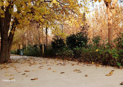 عکس بوستان سهند