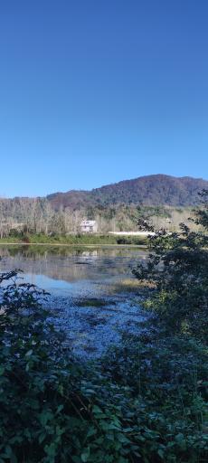 عکس تالاب بهشت 