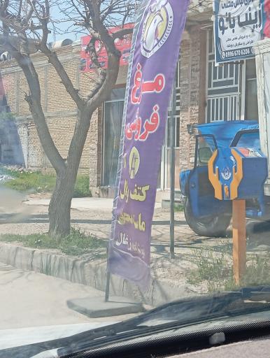 عکس مرغ فروشی گشتاسبی