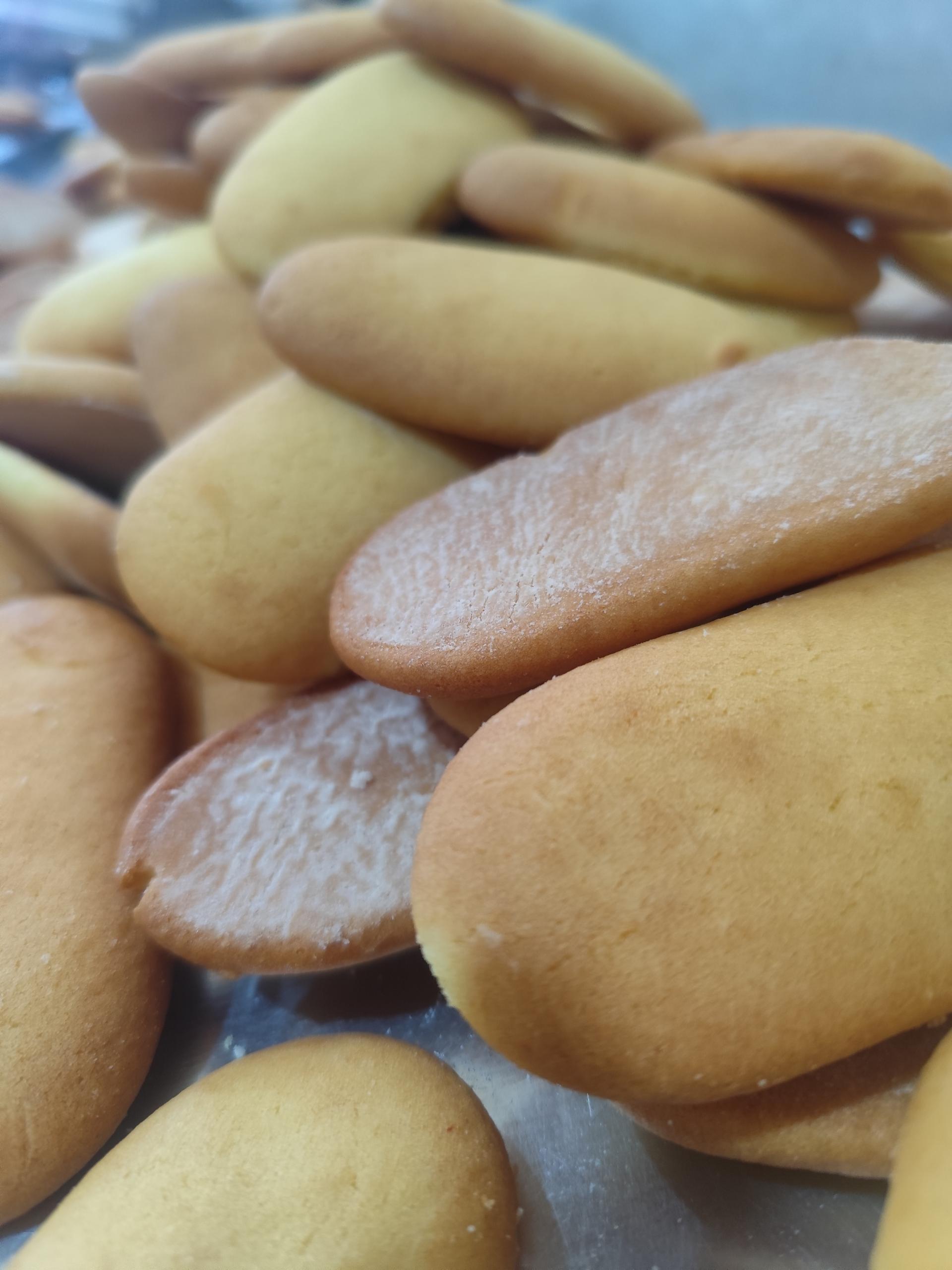 عکس گز و سوهان و باقلوا داریوش 