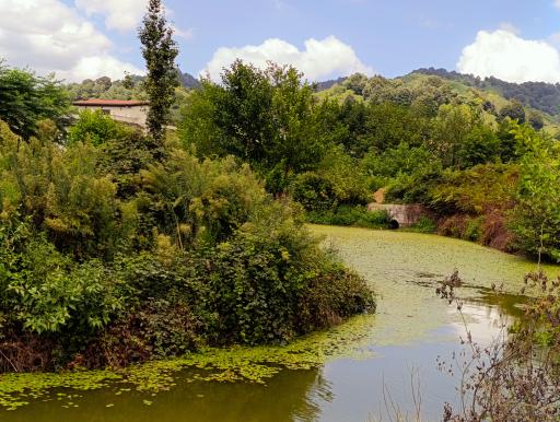 عکس تالاب بهشت 