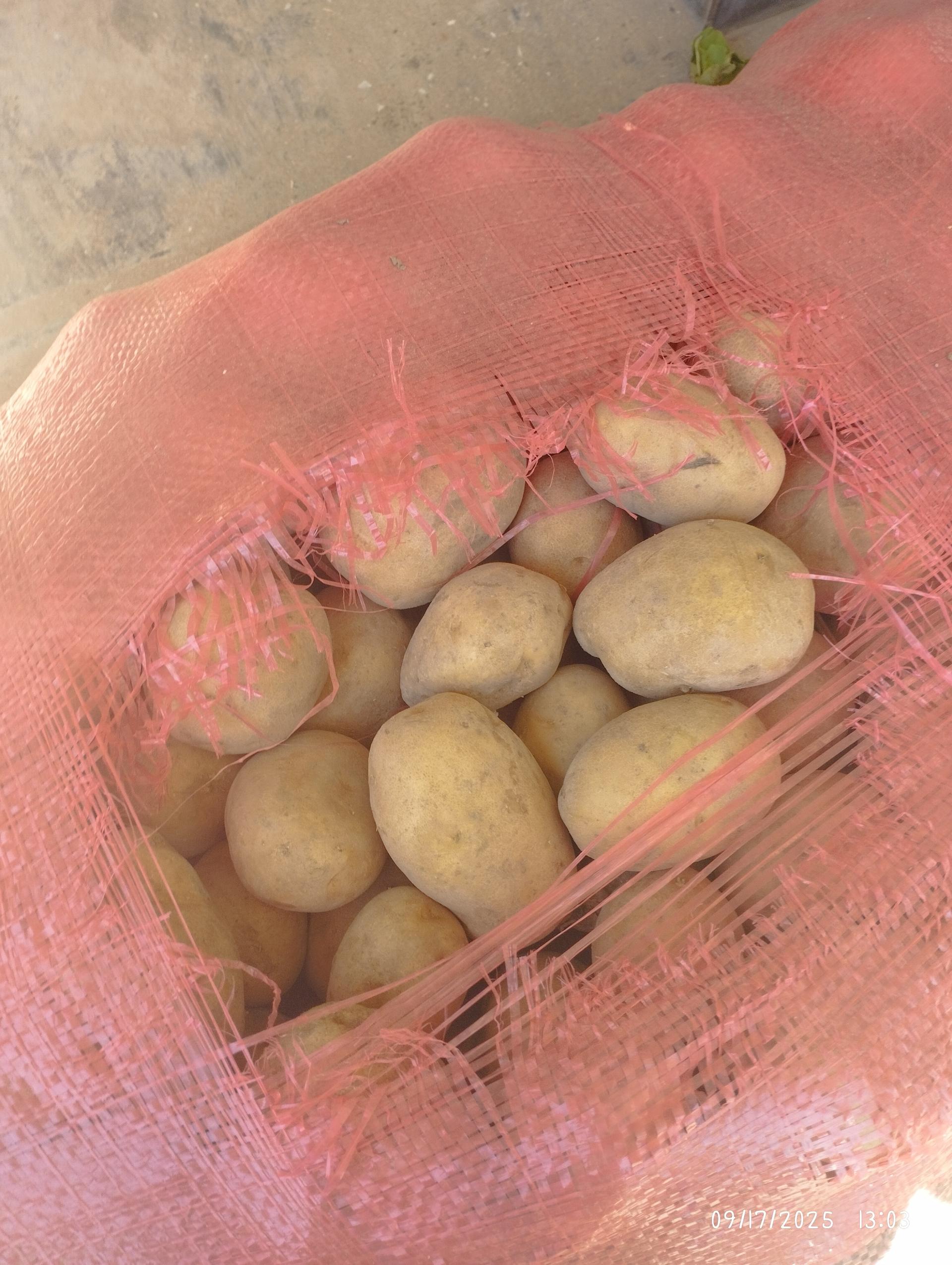 عکس هایپرمارکت متین برادران اسماعیلی