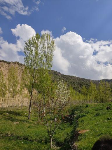 عکس اردبیل