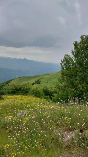 عکس اردبیل