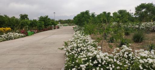 عکس پارک دوچرخه و اسکیت