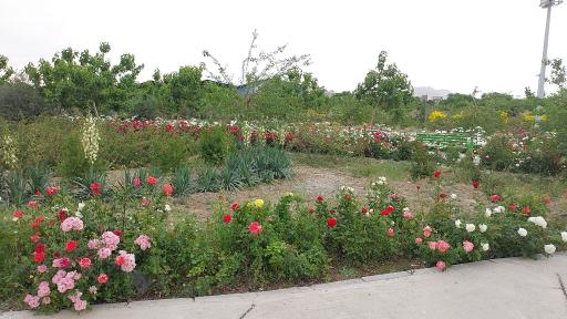 عکس پارک دوچرخه و اسکیت