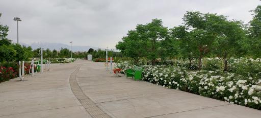 عکس پارک دوچرخه و اسکیت