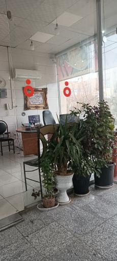 عکس تهیه غذای عارفی