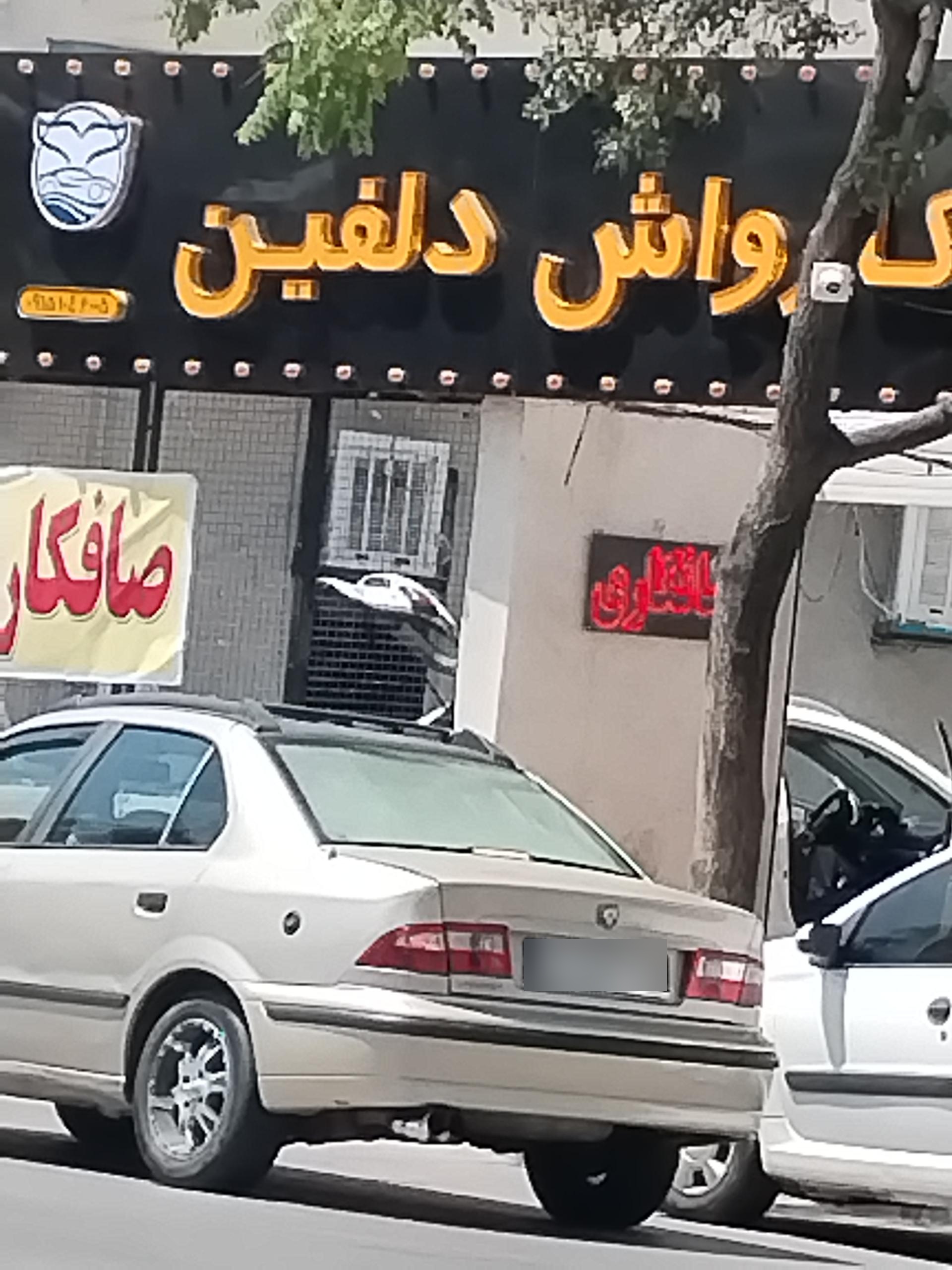 عکس کارواش دلفین