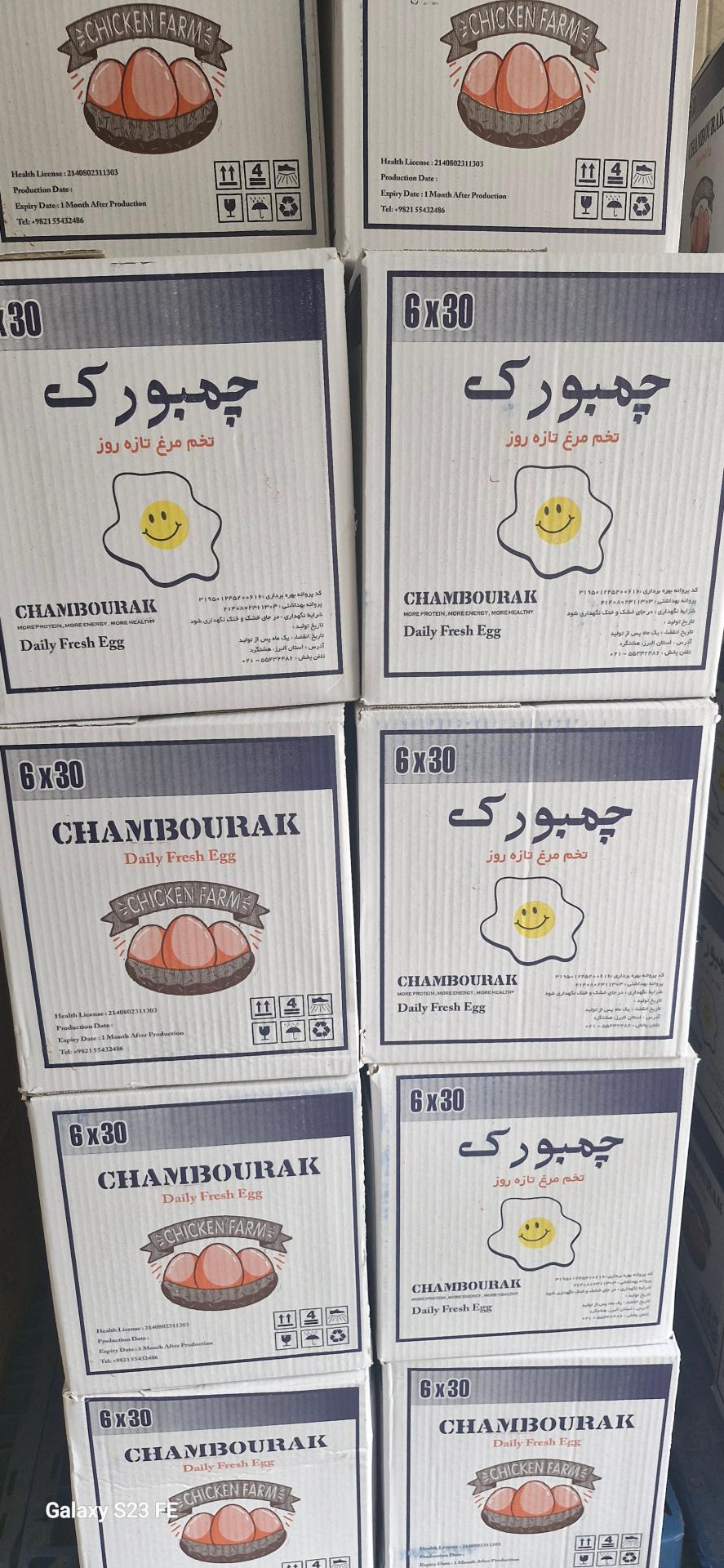 عکس پخش تخم مرغ زارع