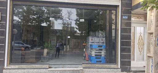 عکس پخش تخم مرغ زارع