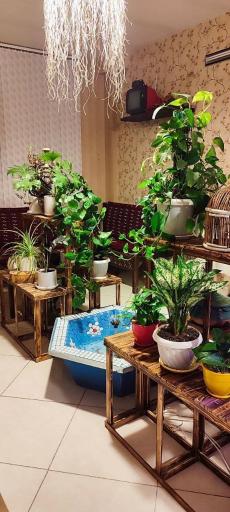 عکس کافه صبحانه کارما