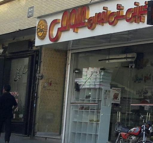 عکس مسکن کاخ