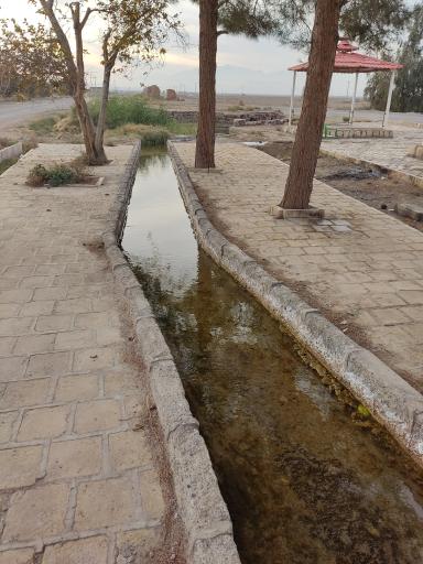 عکس پارک جنگلی مهاباد