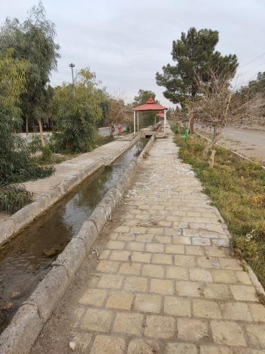عکس پارک جنگلی مهاباد