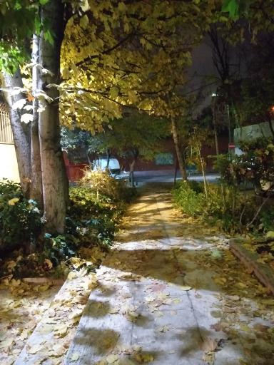 عکس بوستان آرزو