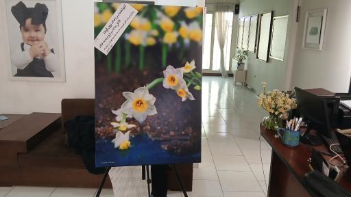 آتلیه عکاسی الیزه