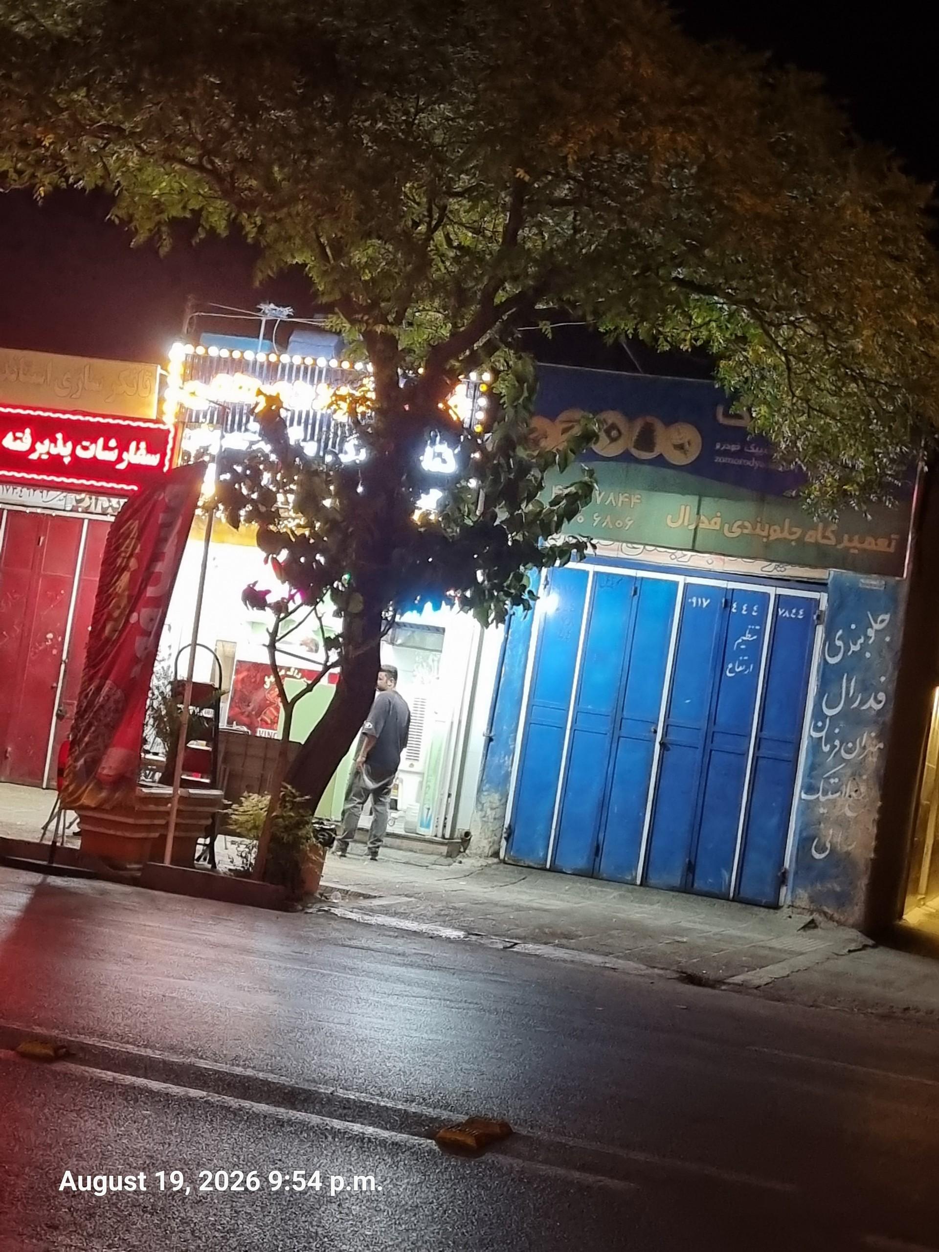 عکس فست فود دورهمی 