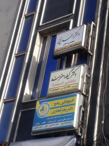عکس دکتر گیلدا هنرمند محرابی زاده