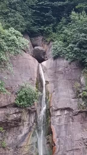 عکس پارک جنگلی صیقل محله جواهرده