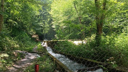 عکس پارک جنگلی صیقل محله جواهرده