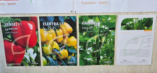 عکس خدمات کشاورزی فراهانی 