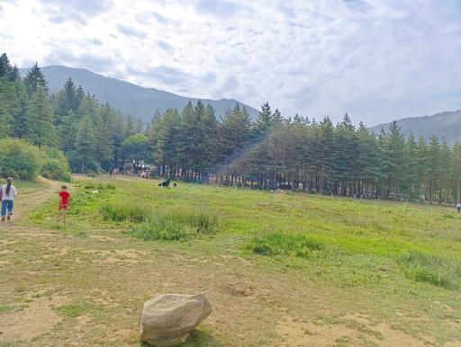 عکس پارک جنگلی صیقل محله جواهرده